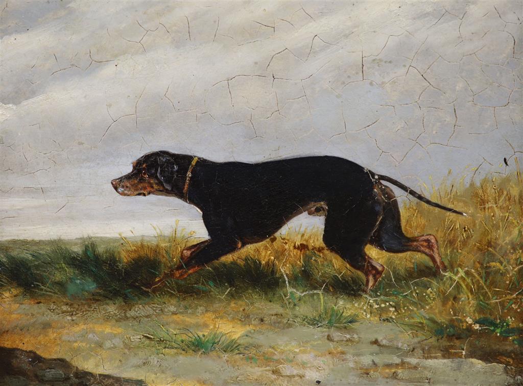 Circle of George Armfield, oil on artist board, Hound in a landscape, 21 x 27cm